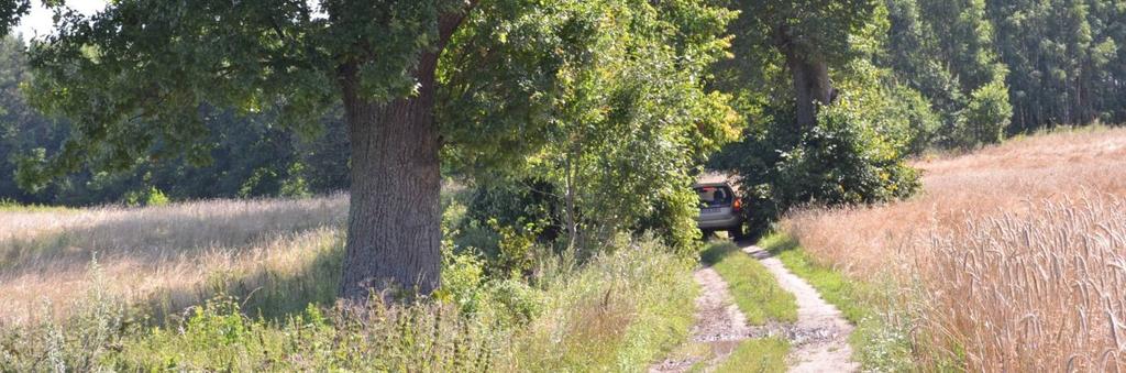 469832 Długość, nawierzchnia 2,1 km; gruntowa Rozstaw drzew Szpaler 1 Nieregularny Odległość szpalerów od krawędzi jezdni Szpaler 1 Nieregularny Drzewa za