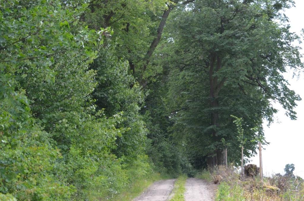 Początek: N 53.889678, E19.365285; Koniec 53.900730, 19.374602 Początek: 53.