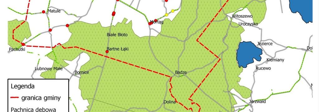 dębowej