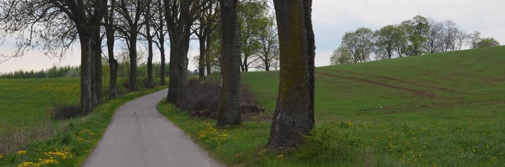 468611 Długość, nawi