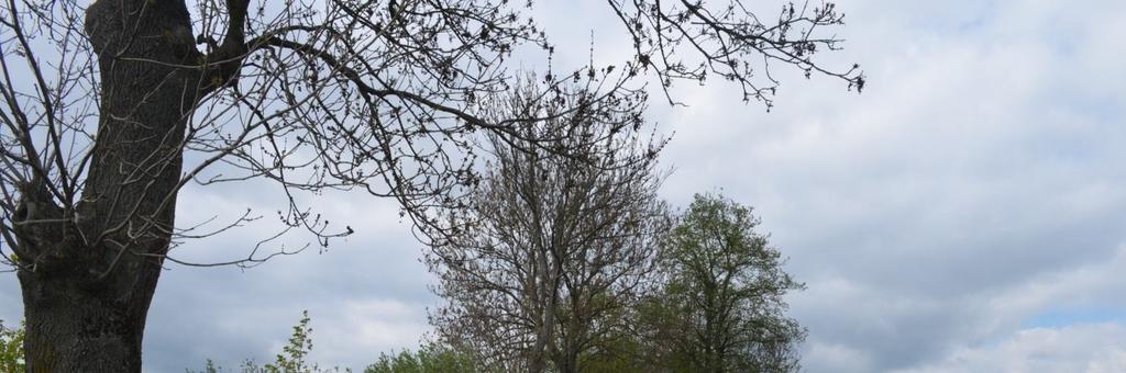 Droga nr 10 Pudłowiec (przed miejscowością od strony Myślic)- Porzecze /Kołtyniany (do skrzyżowania) Dane ogólne Zarząd drogi Droga powiatowa Nr GPS Początek: N 53.