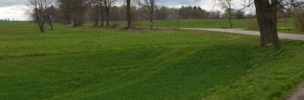 erzchnia 1,3 km; asfalt Rozstaw 