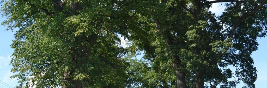 Droga nr 18 Górki (od tablicy z nazwą miejscowości)- Matule (do kapliczki) Dane ogólne Zarząd drogi Droga powiatowa Nr GPS Początek: N 53.