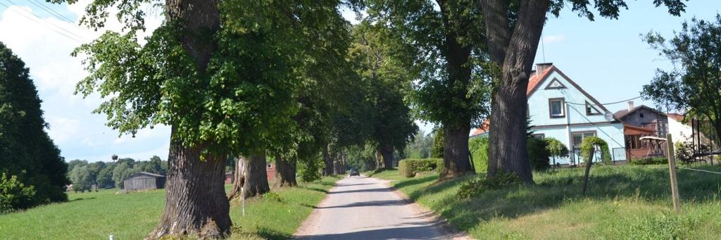 342045 Długość, nawierzchnia 1,1 km; asfalt Rozstaw drzew Szpaler 1 14 m Odległość szpalerów od krawędzi jezdni Szpaler 1 Ok.