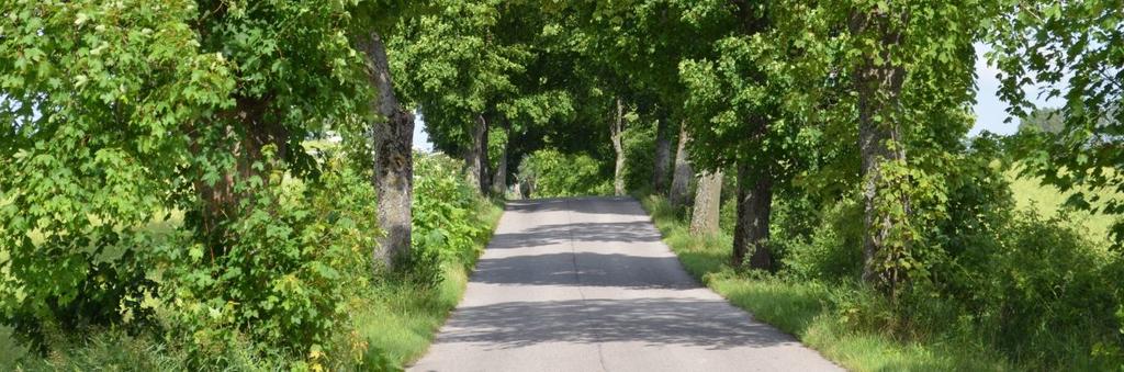 497620 Długość, nawierzchnia 1,9 km; asfalt Rozstaw drzew Szpaler 1 Około 12 m Odległość szpalerów od krawędzi jezdni Szpaler 1 Ok.