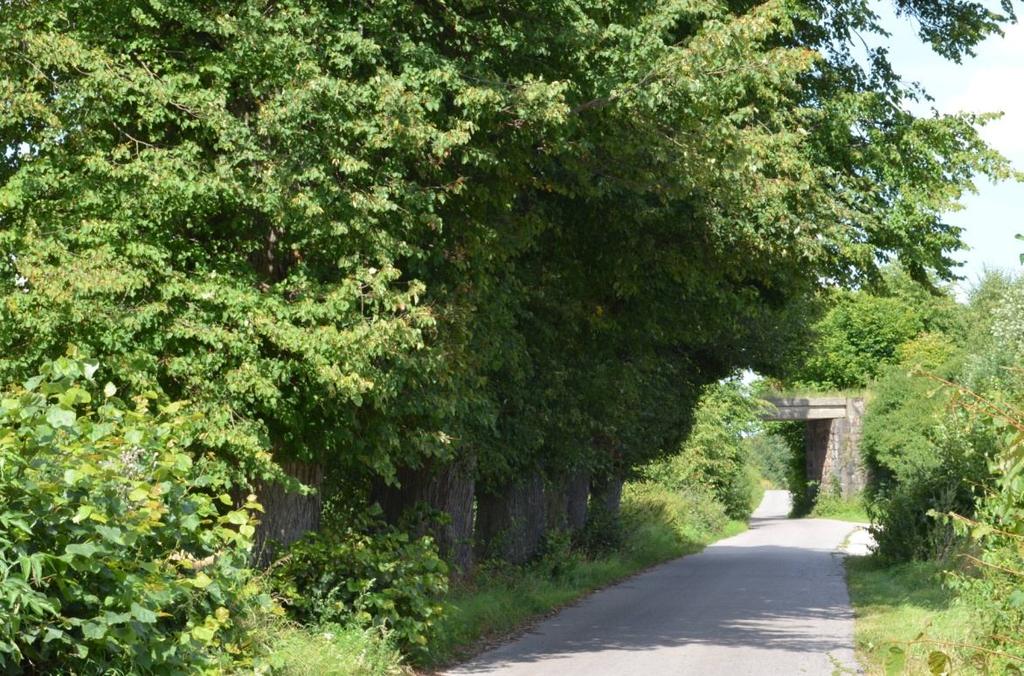 ogólne Zarząd drogi Droga powiatowa Nr GPS Początek: N53.904133, 19.403812; Koniec N 53.921705, E 19.