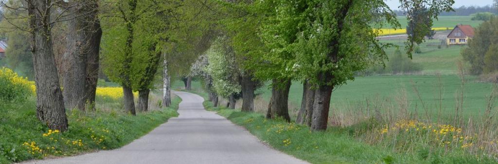 463897 Długość, nawierzchnia 1,4 km; asfalt Rozstaw drzew Szpaler 1 10-15 m Odległość szpalerów od krawędzi jezdni Szpaler 1 Ok.