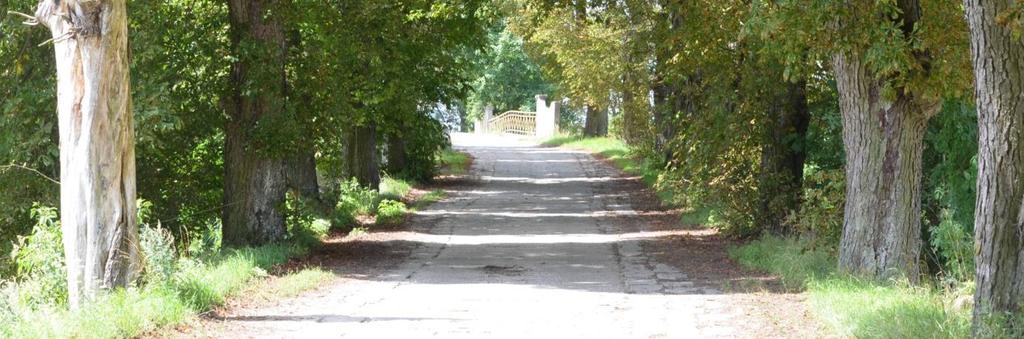 544880 Długość, nawierzchnia 1 km; bruk, grunt Rozstaw drzew Szpaler 1 Około 10 m Odległość szpalerów od krawędzi jezdni Szpaler 1 Ok.