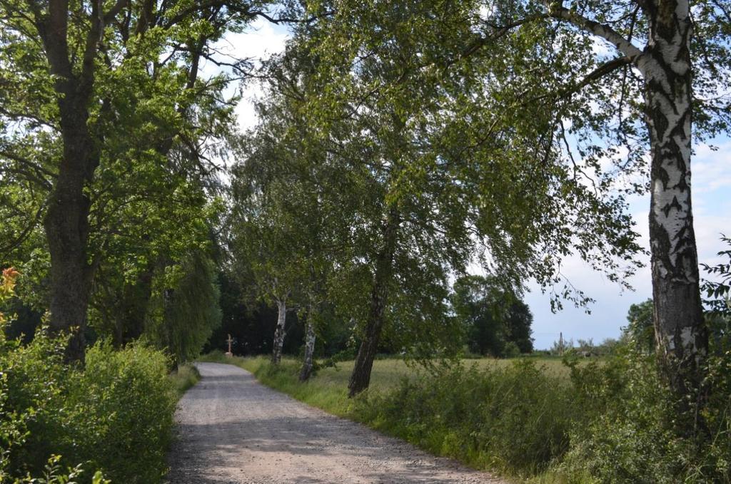 Droga nr 35 Popity- Skolwity Dane ogólne Zarząd drogi Gminna publiczna Nr GPS Początek: N 53.934383, E 19.556799; Koniec N 53.936807, E 19.