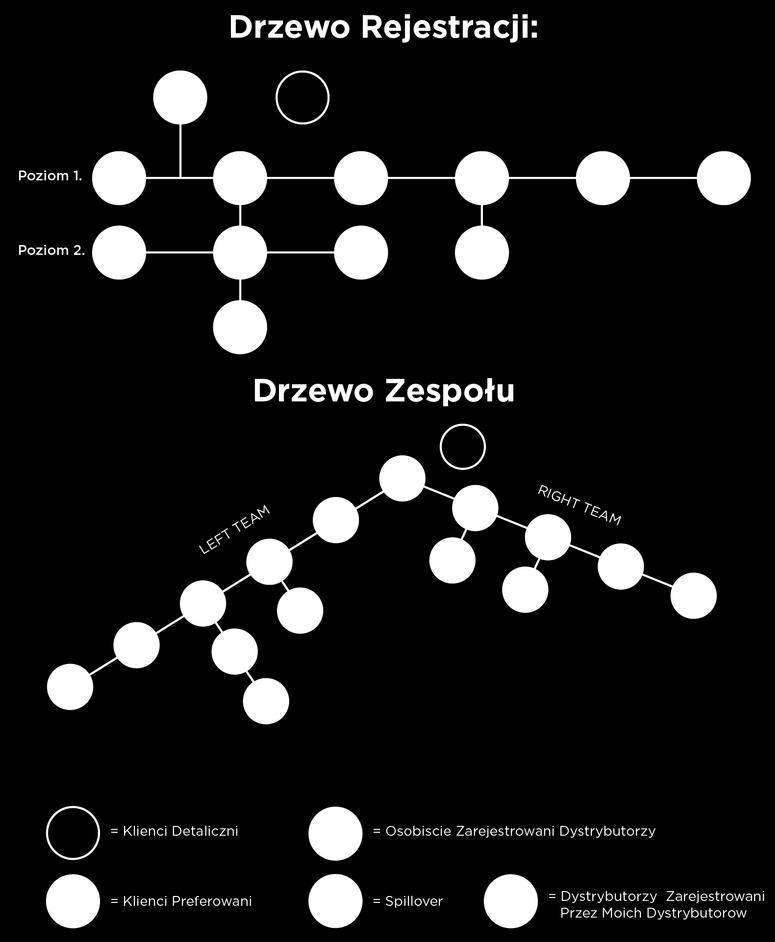 Ilustracja 4. Drzewo Rejestracji: Dystrybutorzy A D zostali zarejestrowani przez Ciebie. Każdy z nich otwiera nową Linię Sponsorowania w Twoim Drzewie Rejestracji.