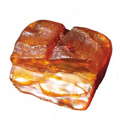 a b II Terminology Suc c i n i t e, also known as Baltic amber, or just amber, is the best known among fossil resins; it has the longest tradition behind it and the