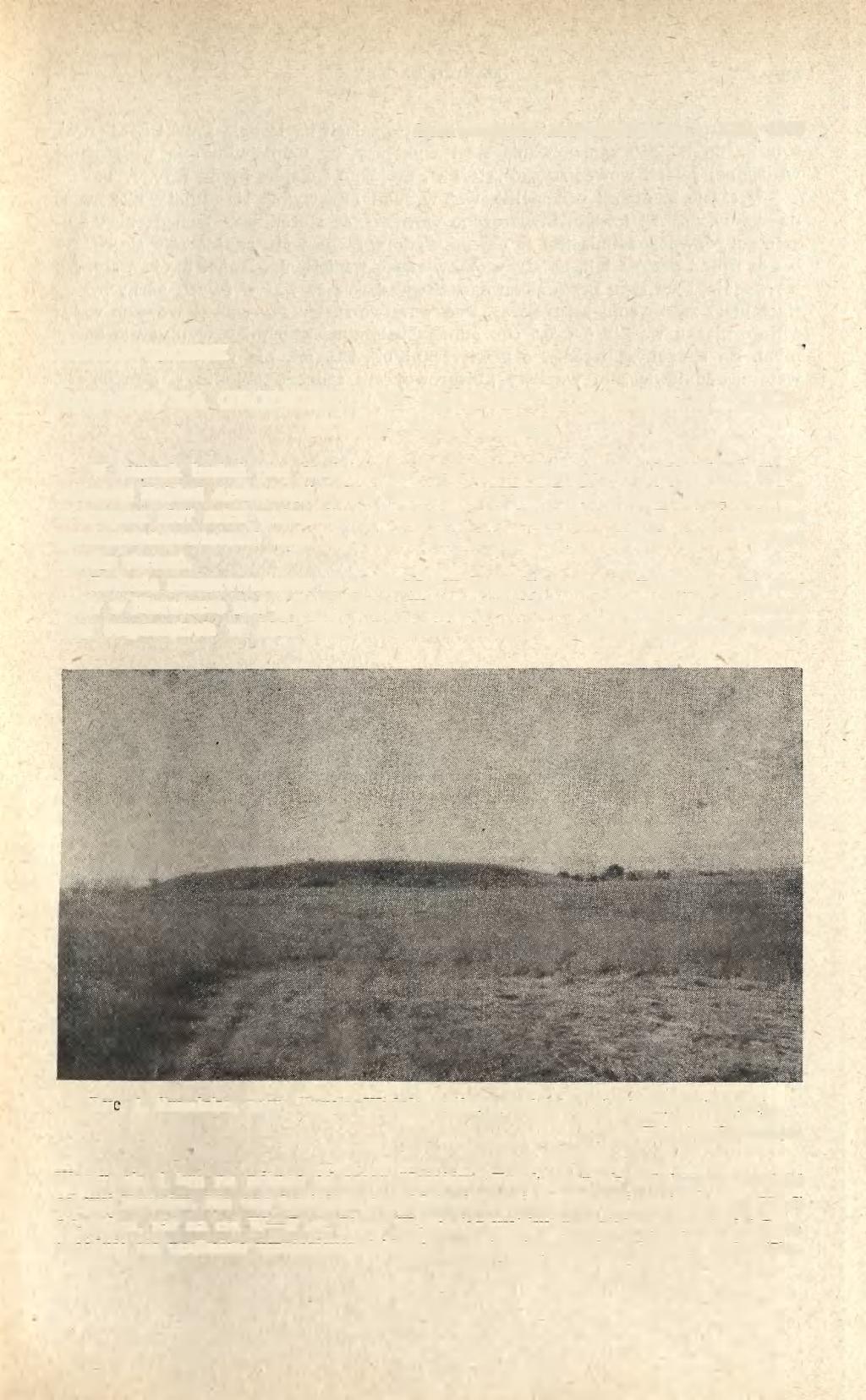 Sprawozdania Archeologiczne, t. XXI, 1969 MARIAN GŁOSEK BADANIA NA GRODZISKU W SMULSKU I OSADZIE W BOLE- SZYNIE, POW.