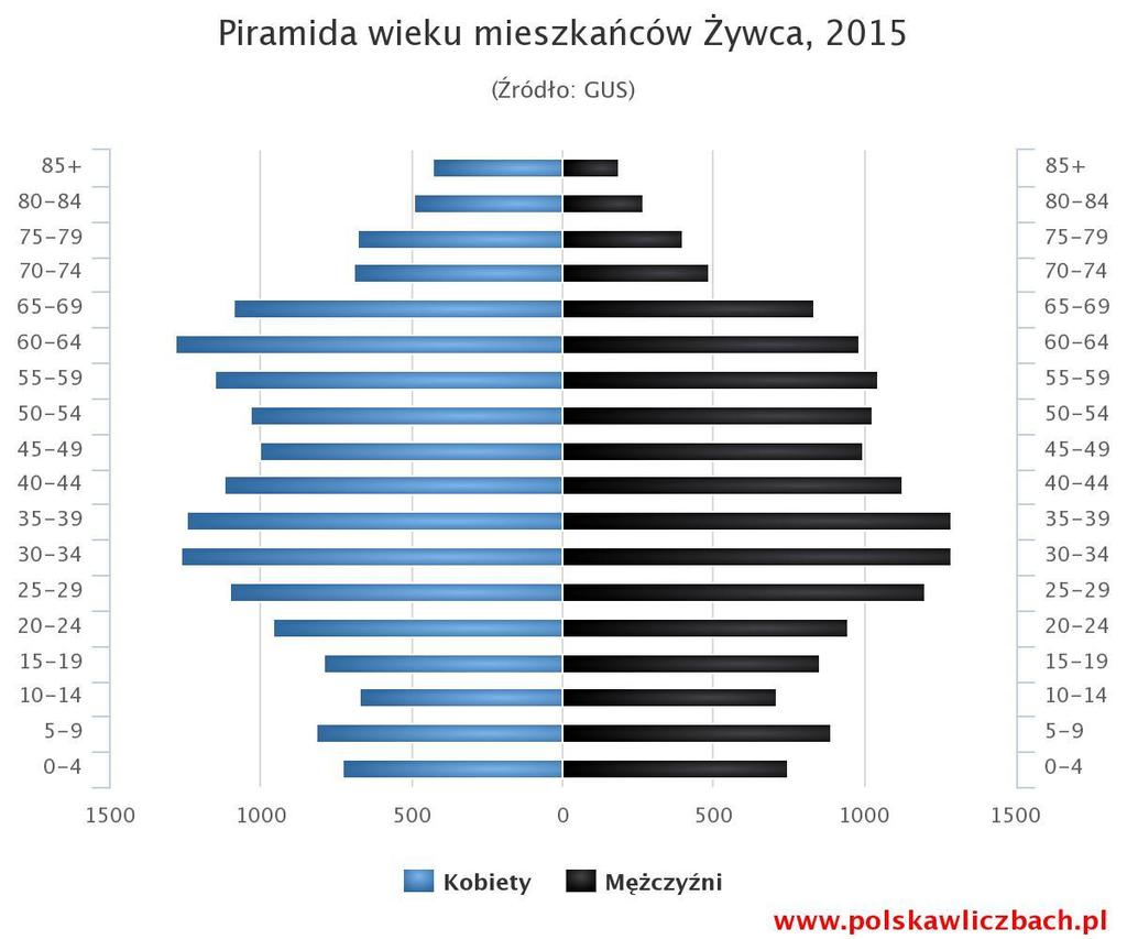 Wykres 1. Piramida wieku mieszkańców Miasta Żywiec. Źródło: Specjalistyczne opracowanie diagnozy społecznej Miasta Żywiec, 2017.