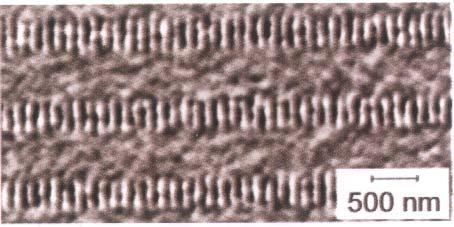 Magnetyczny zapis w informatyce Zapis binarny (0, 1) kierunek namagnesowania / 350 nm szer.