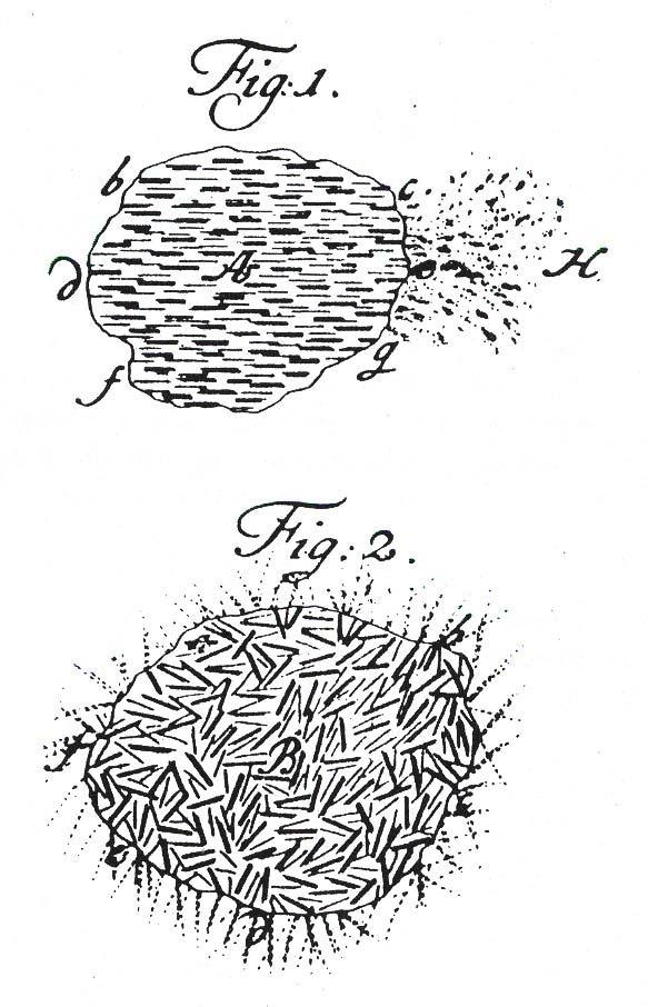 Magnetic domain image of iron from