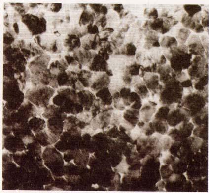 Microscopic properties Coercivity H c - control and modification: magnetocrystalline anisotropy (grain shape anisotropy), selection of