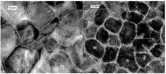 Superparamagnetic effect The superparamagnetic effect originates from the shrinking volume of magnetic grains that compose the storage properties of hard disk media.