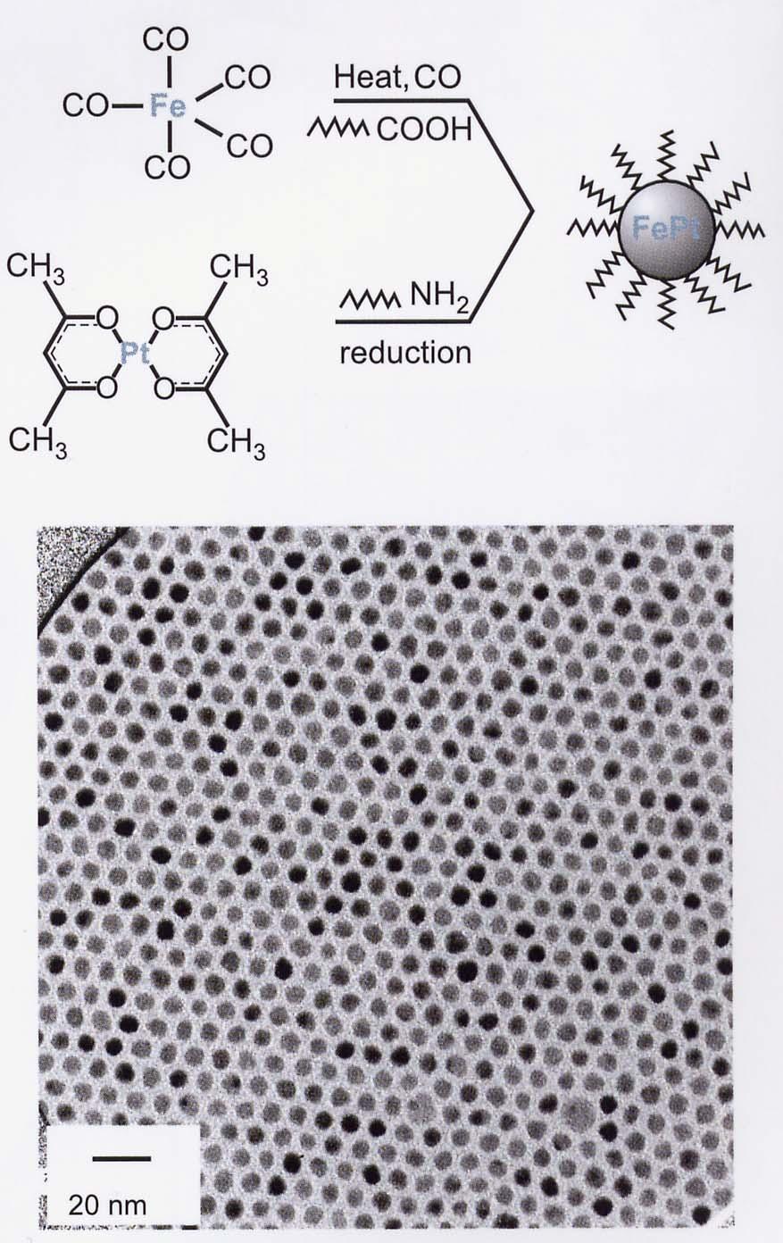 Self organized particle media Chemical method for preparation FePt