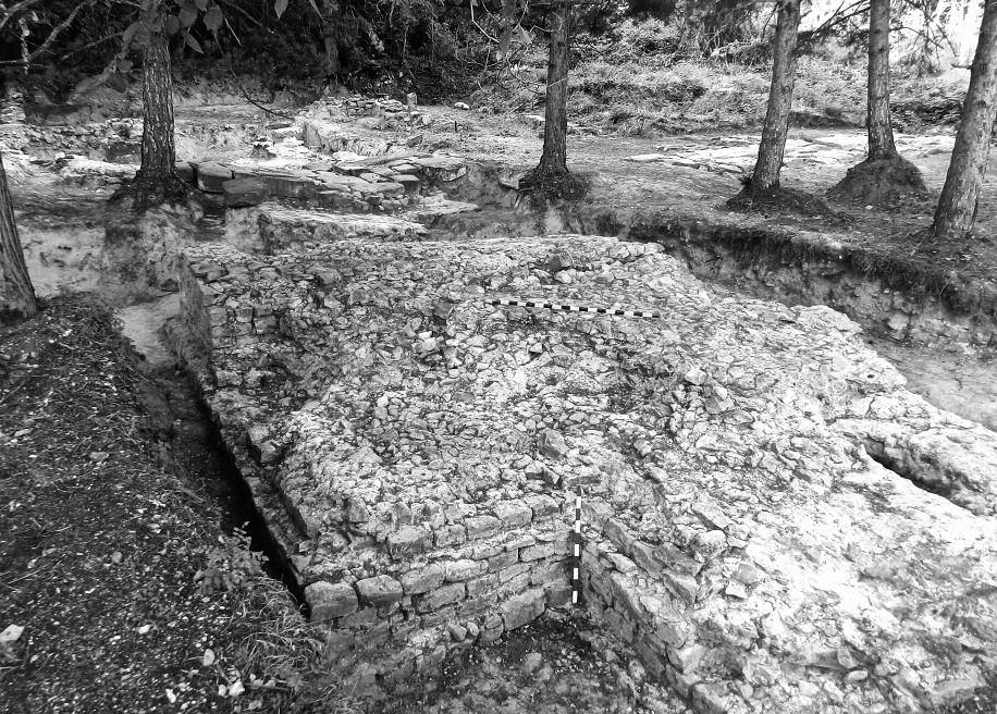 Via principalis i ruiny bramy wschodniej. Widok od zachodu. Fig. 2. Novae 2012.