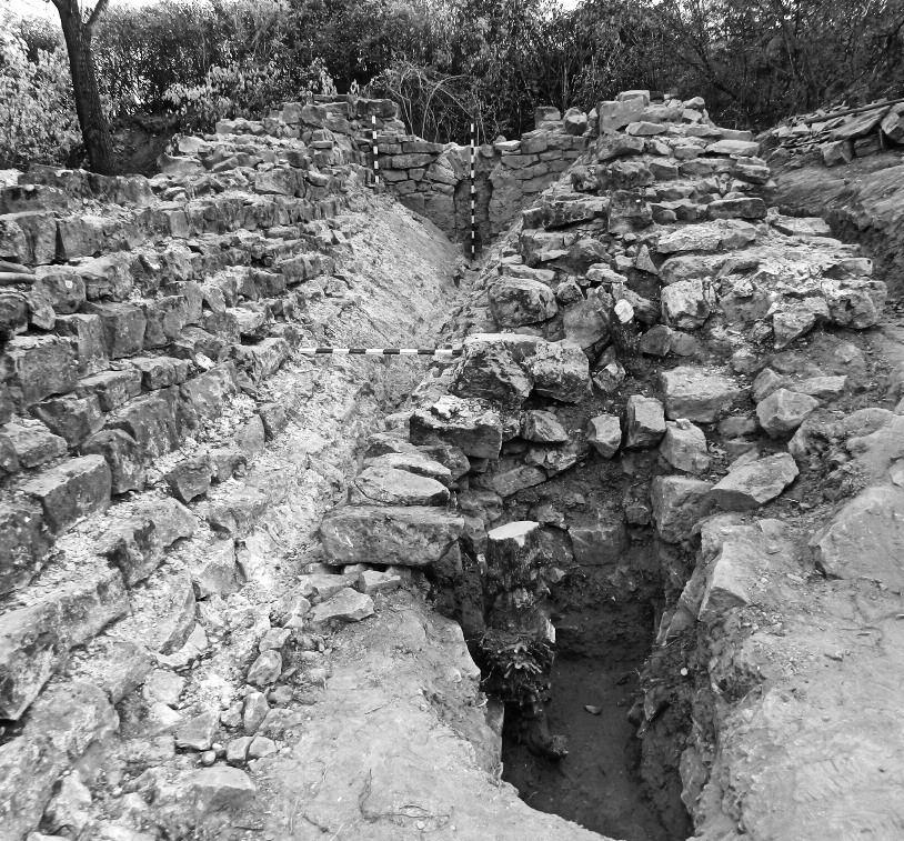 ТAdEUSz SARNoWSKI, LUdMIłA A. KovALEvSKAJA, AGNIESzKA ToMAS, PIoTR zakrzewski Fig. 4. Novae 2012. The remains of the water tank in the eastern intervallum, looking south (Photo T. Sarnowski). Ryc. 4. Novae 2012. zbiornik na wodę w intervallum wschodnim.
