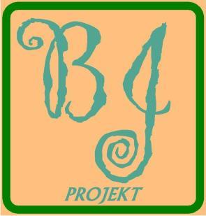 B J - PROJEKT Biuro Projektów Komunikacyjnych 03-570 Warszawa ul. Zamiejska 1/14 Tel. 602 433 808 e-mail: bj-projekt@wp.