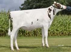Step Red AB A1/A2 DEU 000356650139 aaa: 234156 ur. 19.11.2013 TPI: 2361 PF: 134 O.O. Snowman NLD 000388965513 M.O. Silk CAN 000413 HL 12946 4.07 527 3.28 424 ML 12257 4.23 519 3.21 394 O.