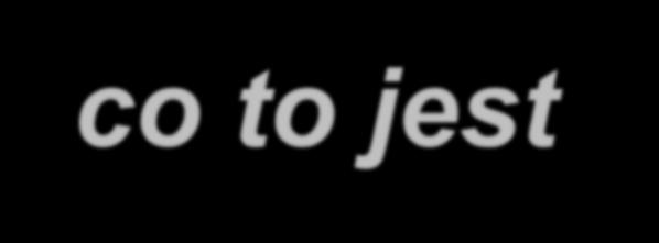 ) Jerzy Dzik Instytut