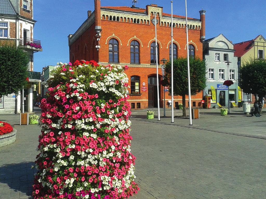 projektantami, z zakresu: zagospodarowania i wyposażenia bezpośredniego otoczenia budynków (pod kątem planowanego przedsięwzięcia realizowanego w partnerstwie ze wspólnotami).