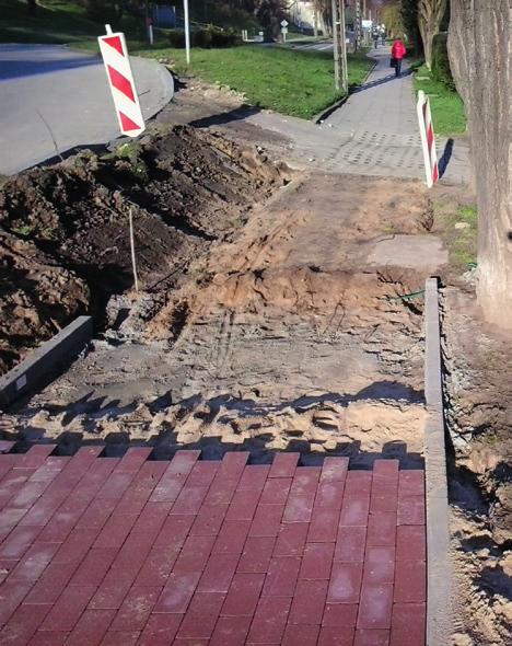 10-go Lutego, Wejherowskiej, Hallera, działania z zakresu ochrony środowiska, poprawienie dostępności usług medycznych, postawienie większej liczby śmietników, np. przy ul.