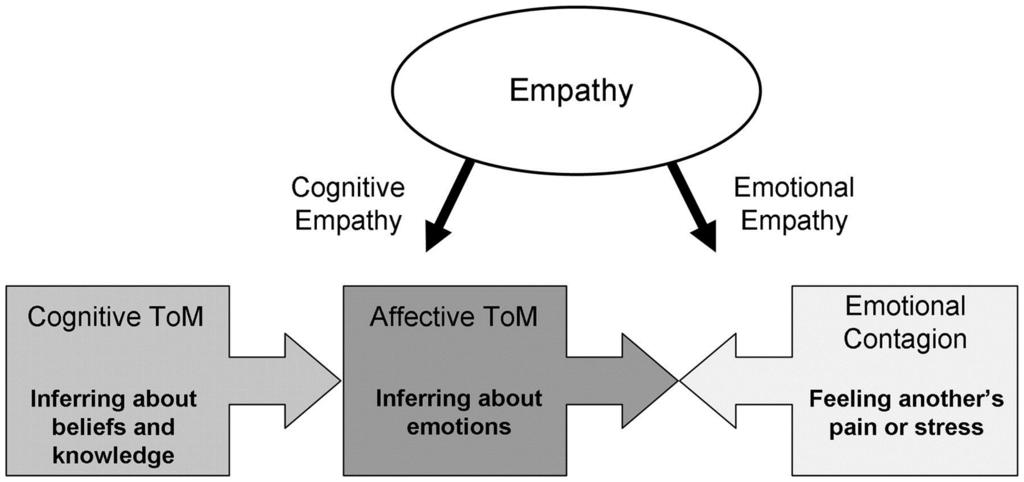 3) The model of the relationship between cognitive ToM, affective ToM and empathy proposed by Shamay-Tsoory et al. 2010 Catherine L. Sebastian et al.