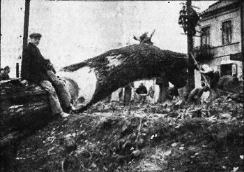 Trąba powietrzna nad Lublinem (20 VII 1931 r.) 139 domów 47.