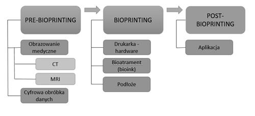 Inkjet bioprinting czyli drukowanie kropla po kropli. Komórki są nakładane warstwa po warstwie. Drukarki te można podzielić ze względu na mechanizm generowania kropel: termiczny lub piezoelektryczny.