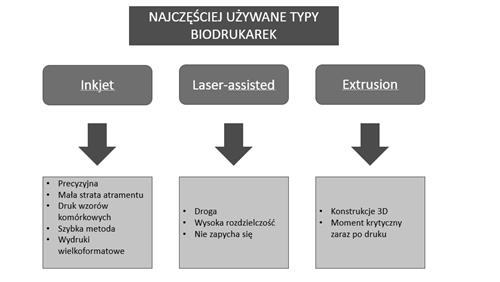 tkance określone cechy lub jest usuwane (białka są trawione przez enzymy) (Arslan-Yildiz et al., 2015). Nadruk jest wykonywany na biopapierze, czyli podłożu hydrożelowym.