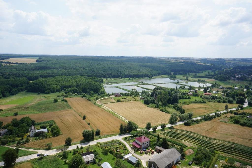 Wody Gmina Gorzków znajduje się w obszarze obrębu hydrogeologicznego regionu kredy lubelskiej z głównym poziomem wodonośnym utrzymującym się w osadach górnej kredy, lokalnie również w utworach