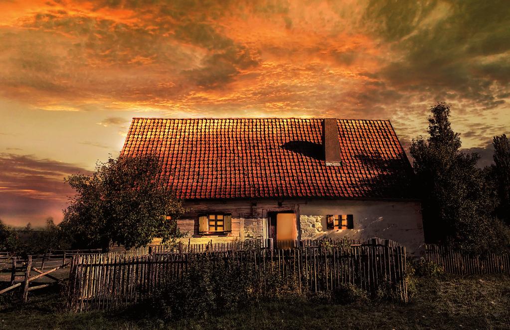 WARMIŃSKO-MAZURSKI OŚRODEK DORADZTWA ROLNICZEGO Z SIEDZIBĄ W OLSZTYNIE
