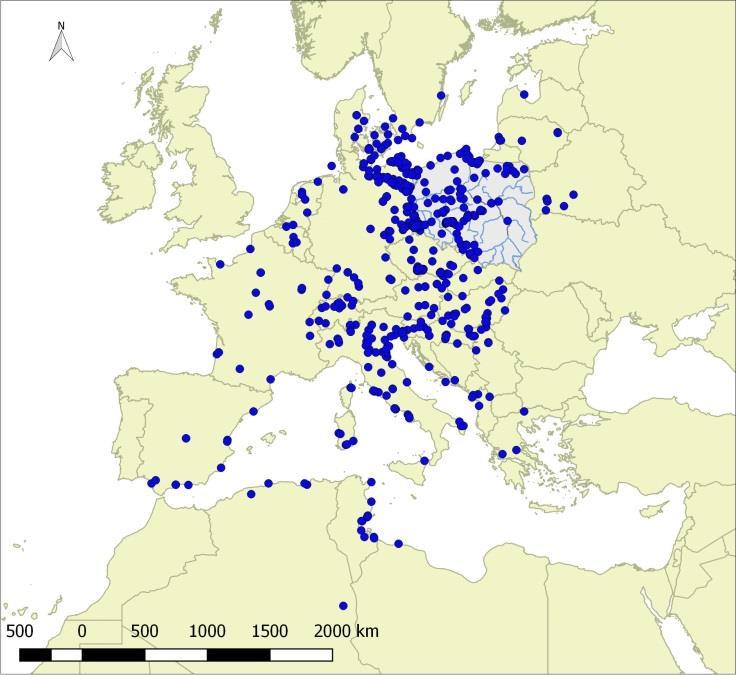 Dokąd wędrują kormorany po zakończeniu okresu lęgowego?