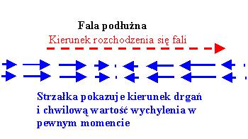 Rysunek - kierunek drgań fali podłużnej, z uwzględnieniem chwilowej wartości wektora wychylenia - dłuższe strzałki oznaczają większą wartość wielkości zaburzanej przez falę Rysunek umieszczony