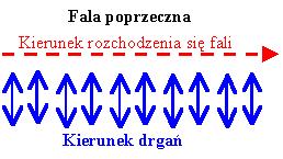 Fale poprzeczne i Rysunek - kierunek drgań fali podłużnej Rysunek - kierunek