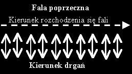 - dłuższe strzałki oznaczają większą wartość wielkości zaburzanej przez falę