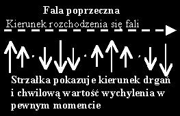 fala świetlna, fala radiowa).