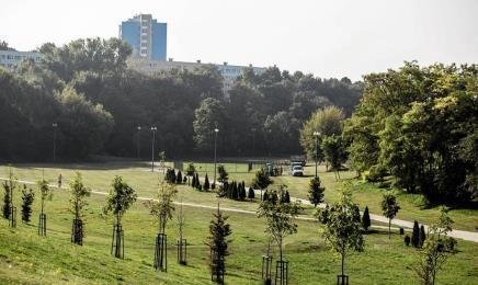 wyborcza.