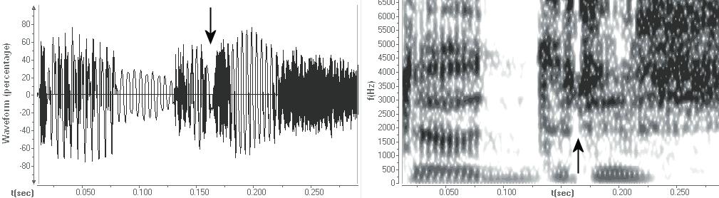 Oscilogram a spektrogram slova dodrž(iavaní) (J. I.