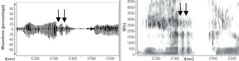 Po druhé, pri drvivej väčšine jednokmitových ŕ ide o viac-menej kánonickú realizáciu (výrazný pokles amplitúdy zvukovej vlny a zreteľný vertikálny pás narúšajúci formantovú skladbu), a nepozorujeme