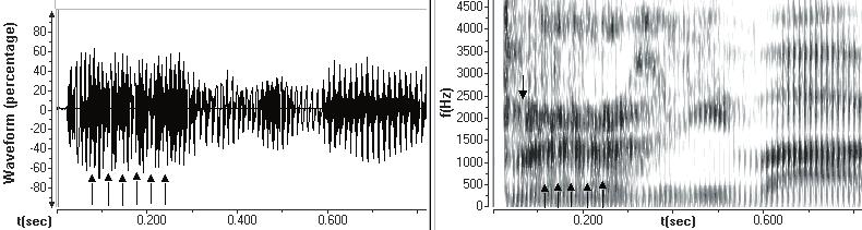 Obr. 37. Oscilogram a spektrogram slova pŕhlivá (D. Jamrich, umelecký žáner, Rádio Slovensko).