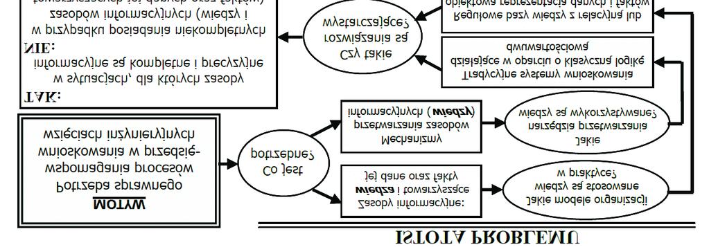 408 Janusz Szelka, Zbigniew Wrona Istotę rozpatrywanego problemu przedstawiono na rys. 1. Rys. 1. Istota problemu 2.