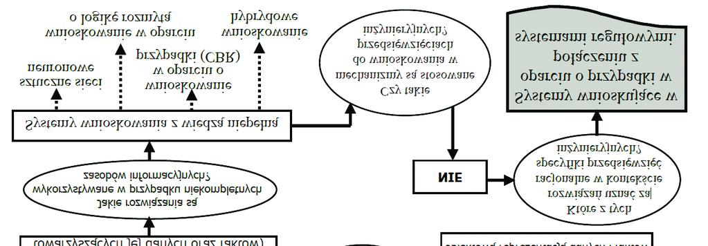 związanych z budową/odbudową obiektów inżynieryjnych) powstaje jako wynik analizy różnych czynników takich, jak: potrzeby w zakresie użytkowania obiektu, zasoby materiałów lokalnych, czy wielkość