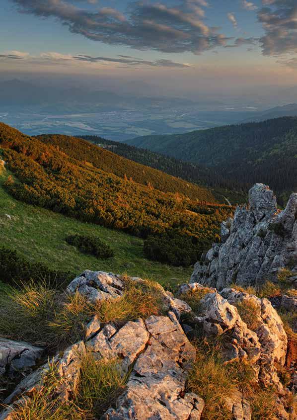 7 silných stránok kamennej vlny Odolnosť voči požiaru Odoláva teplotám až do 000 C. Tepelné vlastnosti Zachováva optimálnu vnútornú teplotu a komfort. Akustické vlastnosti Pohlcuje alebo tlmí zvuky.