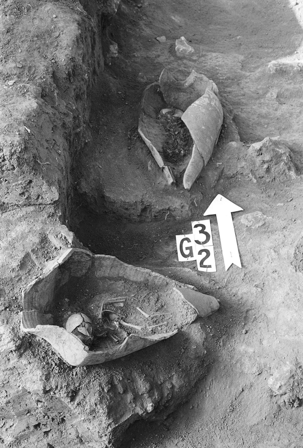 PLANSZA 11 Fig. 17. Kwadrat 6, pochówek nr 2, 3. Fot. T.