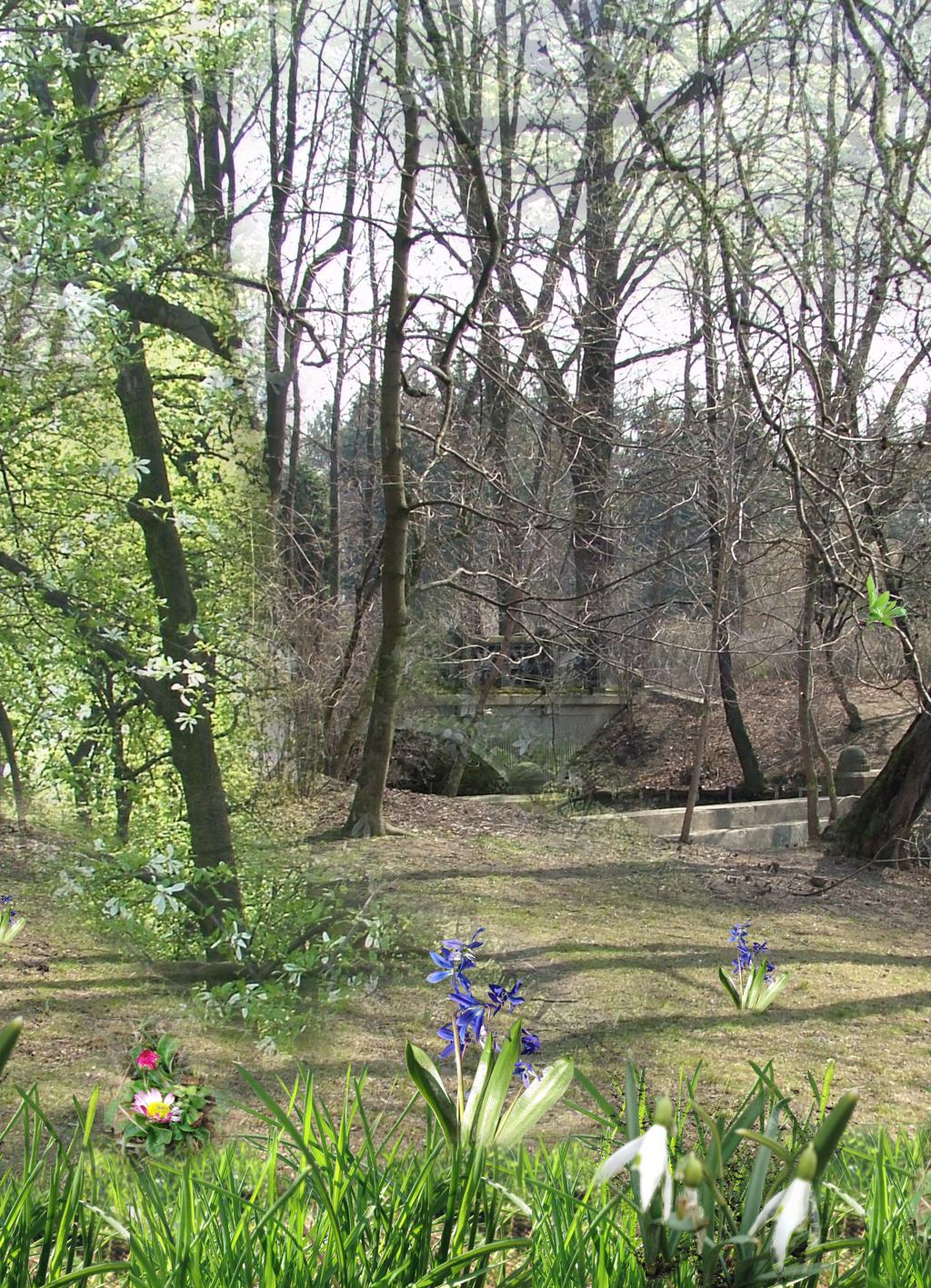 Februar, März und April: Der Winter geht, der Frühling kommt ARBEITSBLATT 1 WINTER ADE DER FRÜHLING KOMMT 1. J ak brzmi stopień wyższy i najwyższy podanych przymiotników?