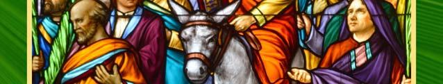 Sylwia Kohut Rector Associate Pastor Weekend Assistance Organist Business Manager Office Staff